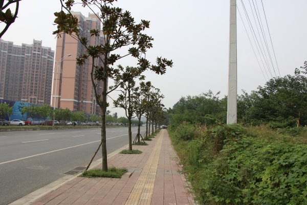 协信天骄城_实景图_94