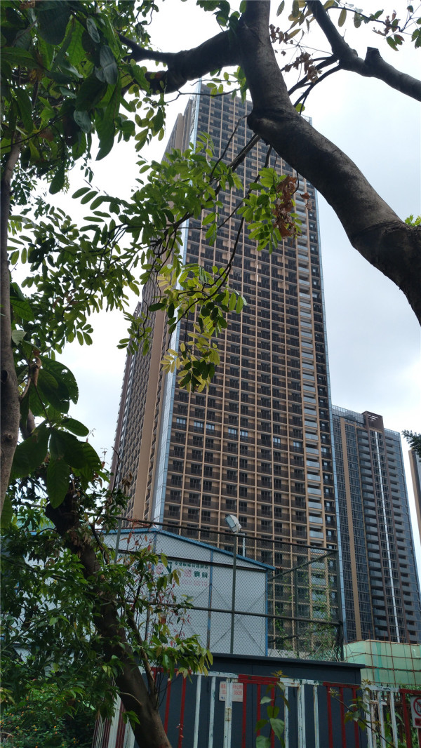 阳光粤海_实景图_35