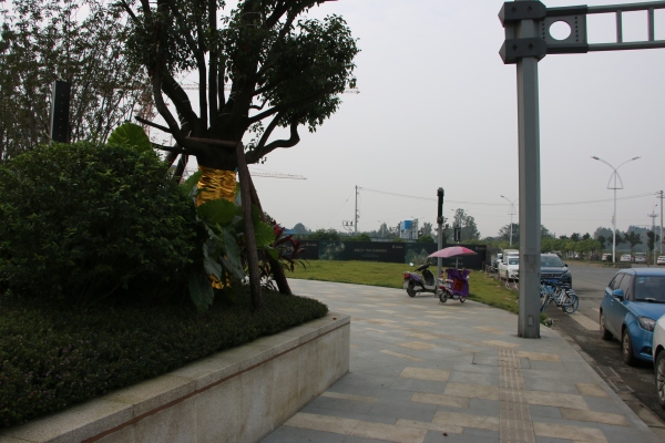 协信天骄城_实景图_149