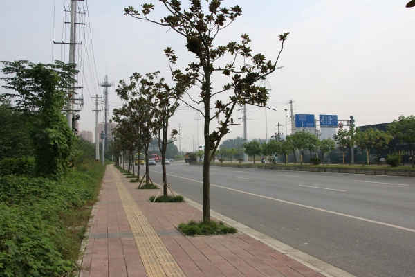 协信天骄城_实景图_125