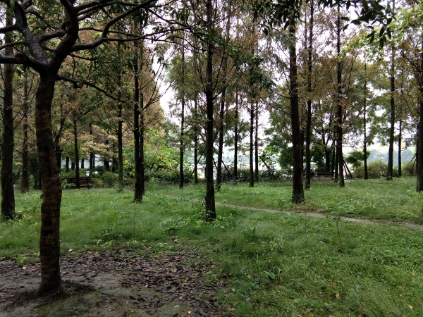 瑞华天地_实景图_55