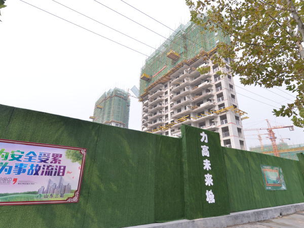 力高未来城_实景图_19