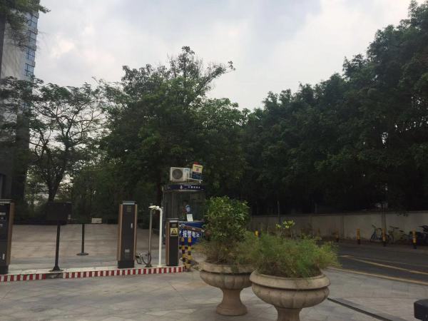 兰亭国际名园_实景图_11
