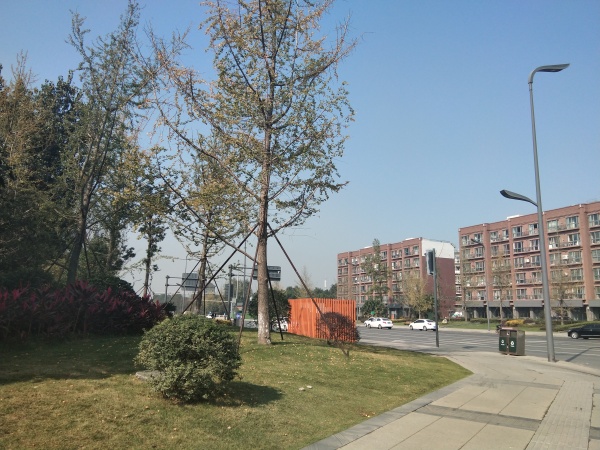 瑞华天地_实景图_41