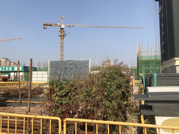 当代拾光里ΜΟΜΛ_实景图_9