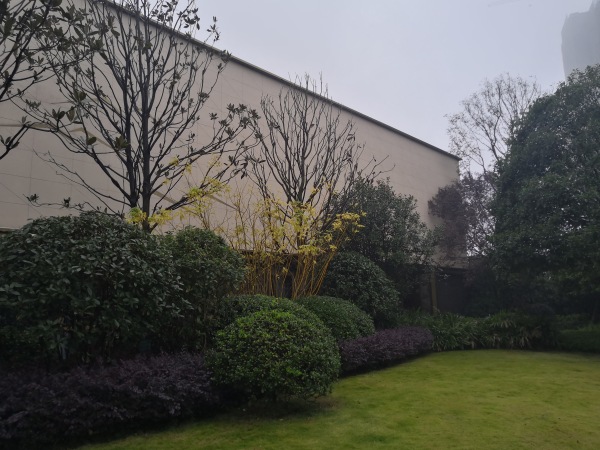 嘉宇北部湾_实景图_3