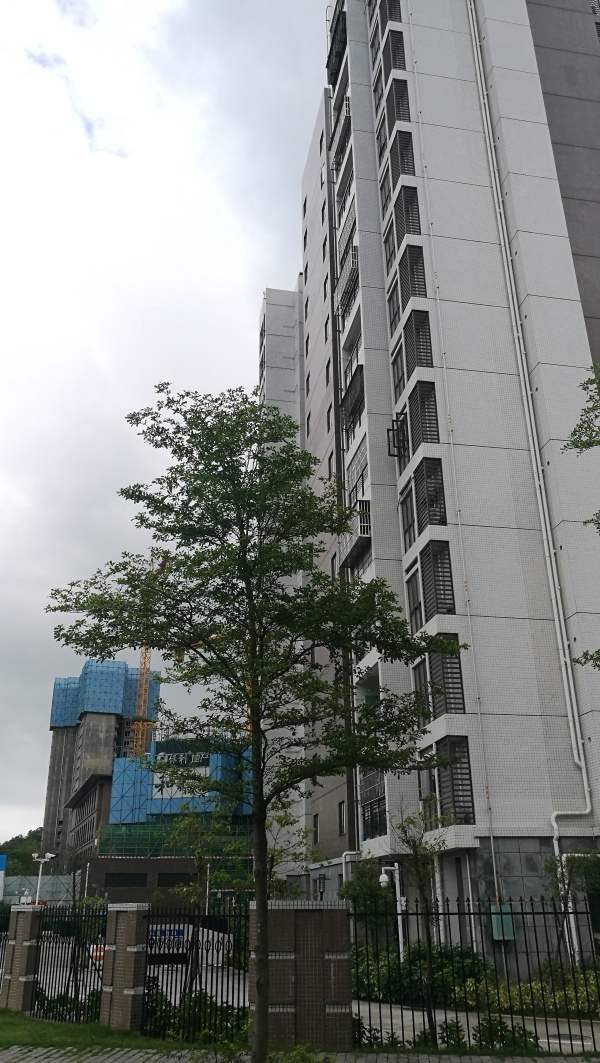 保利24季_实景图_2
