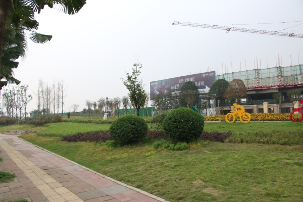 建工梧桐屿_实景图_21