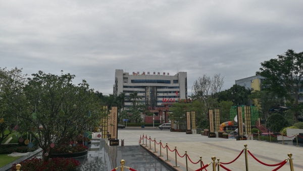 平湖佳兆业广场_实景图_47