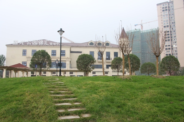 建工梧桐屿_实景图_15