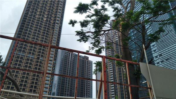 阳光粤海_实景图_60