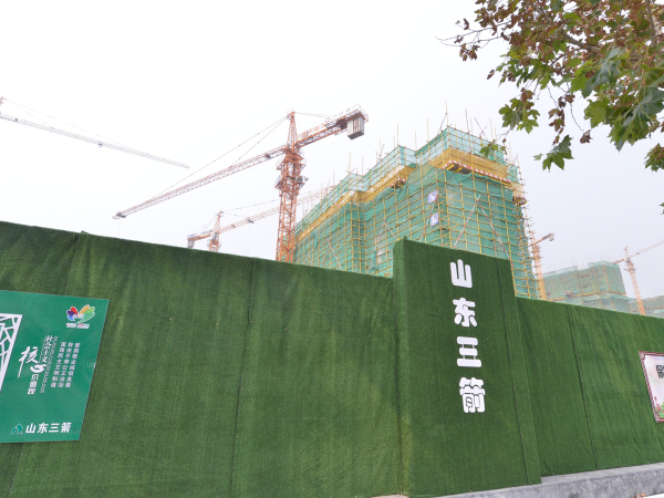力高未来城_实景图_17