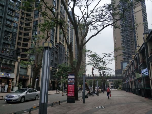 繁花国际_实景图_30