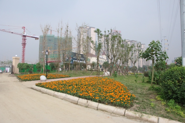 建工梧桐屿_实景图_56