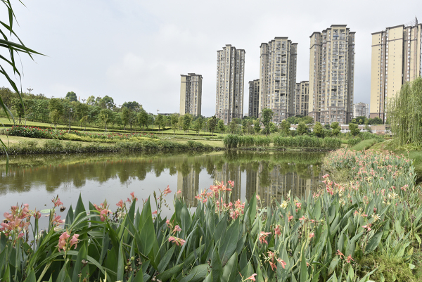金辉优步花园_实景图_15
