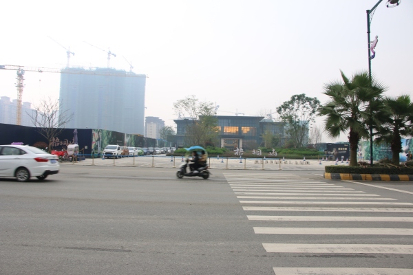 建工梧桐屿_实景图_35