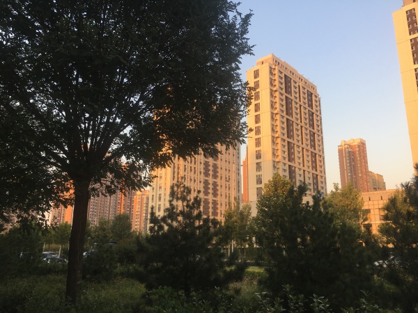 中铁逸都阅山_实景图_11