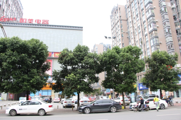 北城映像贸易中心_实景图_9