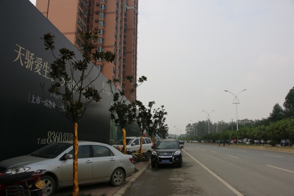 协信天骄城_实景图_6