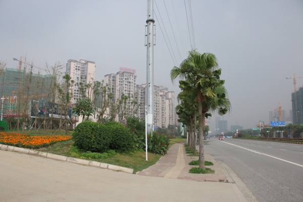 建工梧桐屿_实景图_55