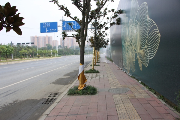 协信天骄城_实景图_155