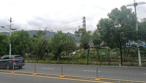 保利24季_实景图_5