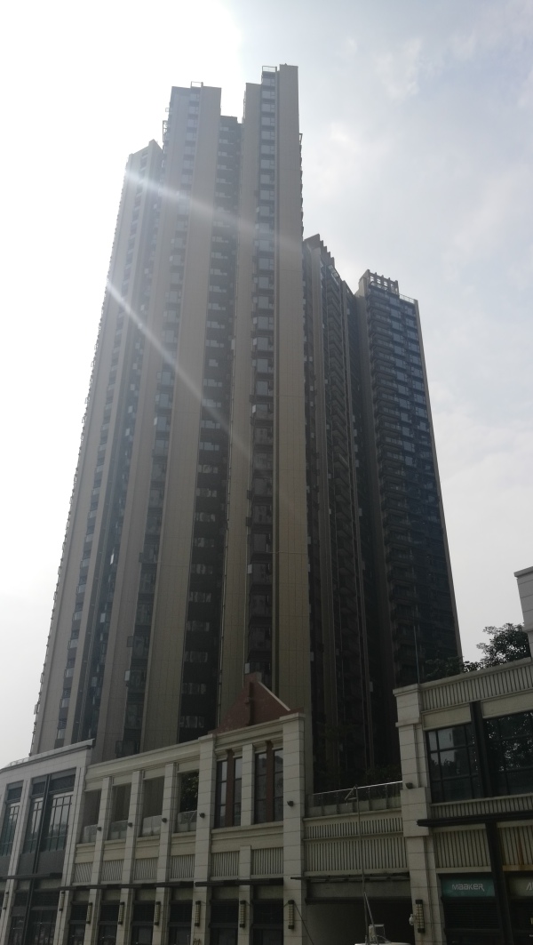 金洪观荟二期_实景图_38