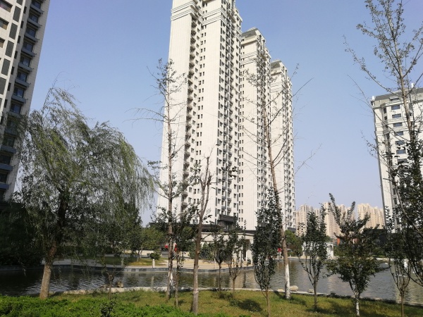 三庆城市主人_实景图_2