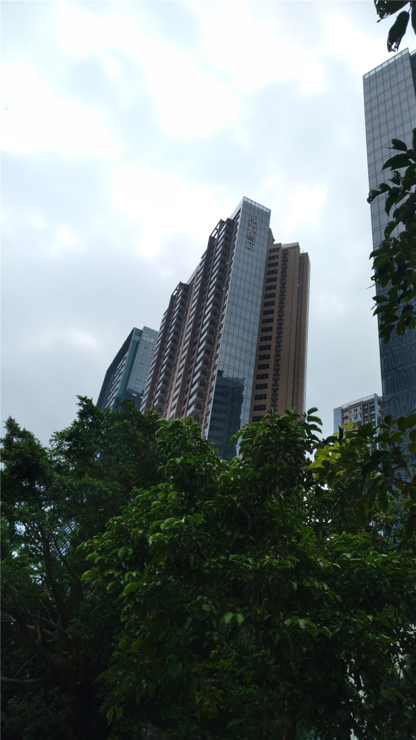 阳光粤海_实景图_30