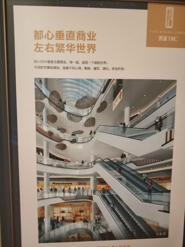 凯旋天玺名庭_项目现场_20