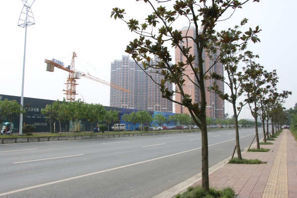 协信天骄城_实景图_54