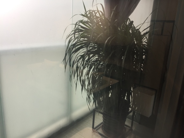 花海湾_样板间_255