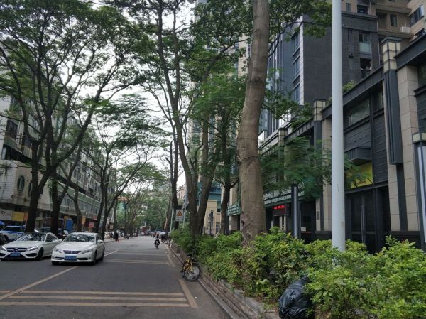 繁花国际_实景图_31