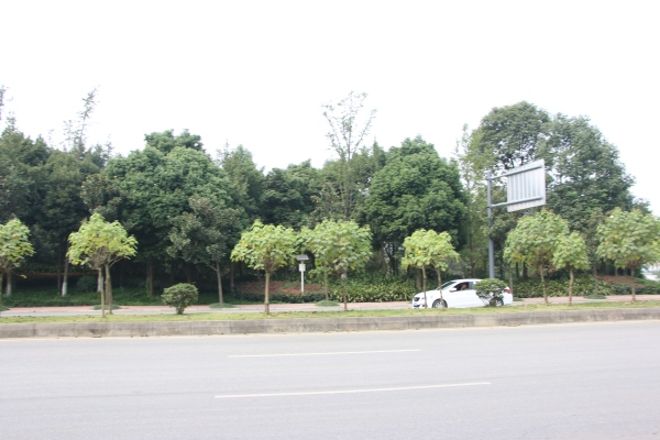 协信天骄城_实景图_57