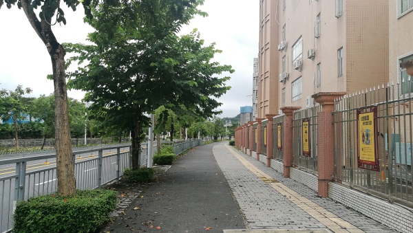 保利24季_实景图_1