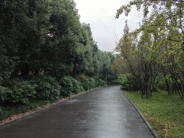 瑞华天地_实景图_36