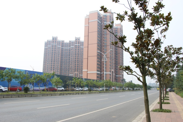 协信天骄城_实景图_92