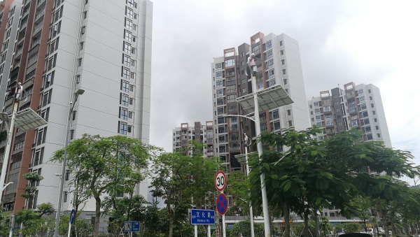 保利24季_实景图_6