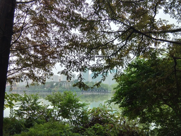 瑞华天地_实景图_38