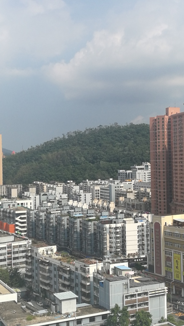 明德公馆_实景图_19