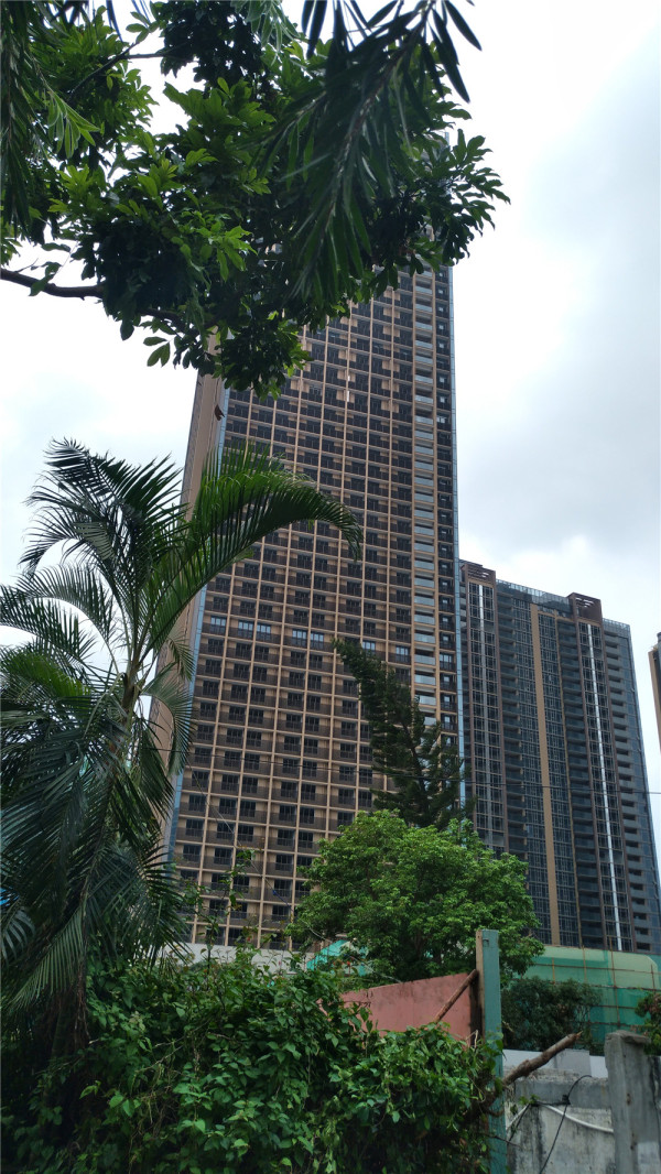 阳光粤海_实景图_48