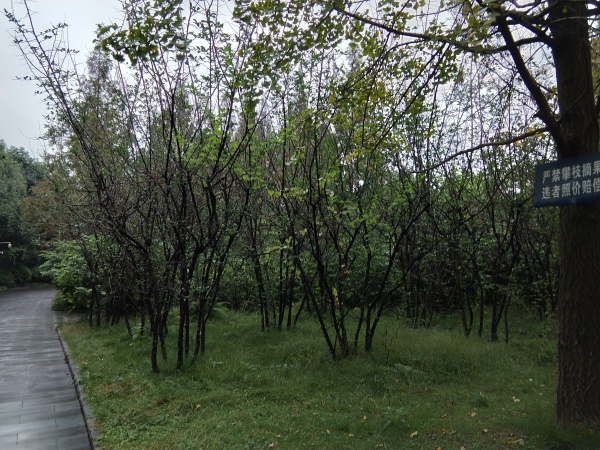 瑞华天地_实景图_16