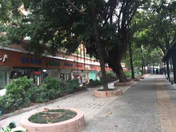 博丰大厦_实景图_7
