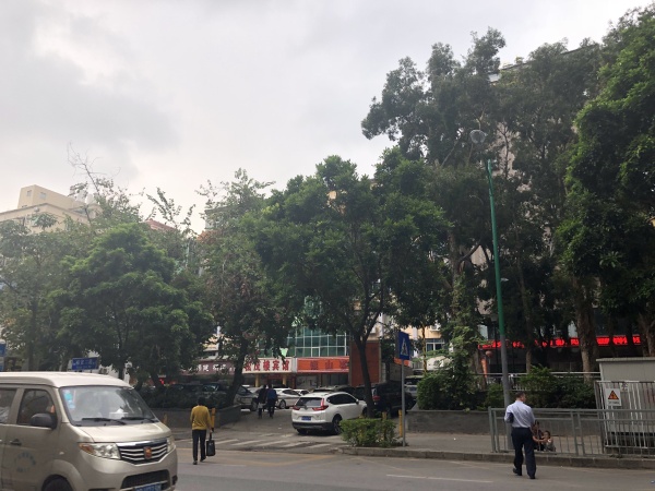 繁花国际_小区配套_61