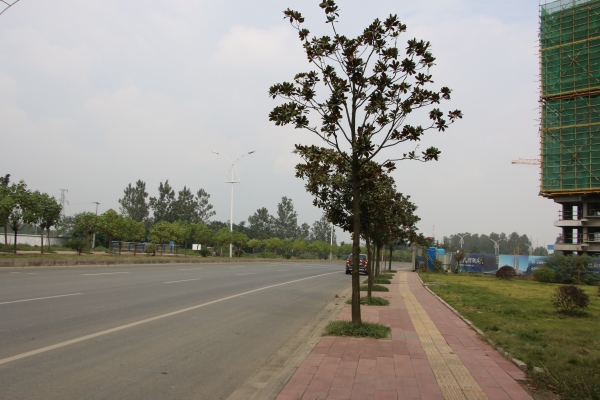 协信天骄城_实景图_51