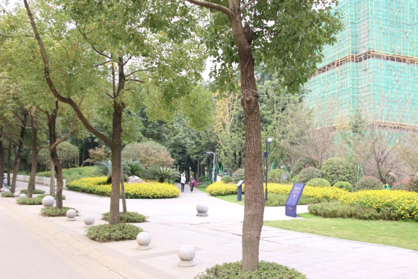 协信天骄城_实景图_17