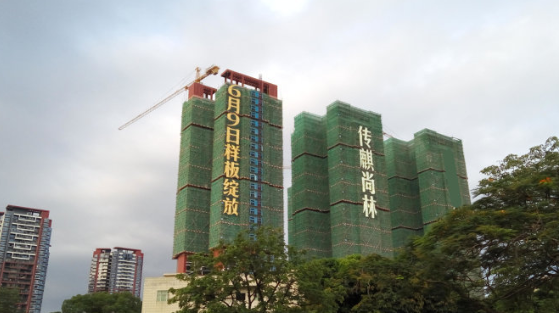 深房传麒尚林_实景图_15