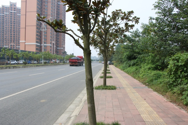协信天骄城_实景图_188