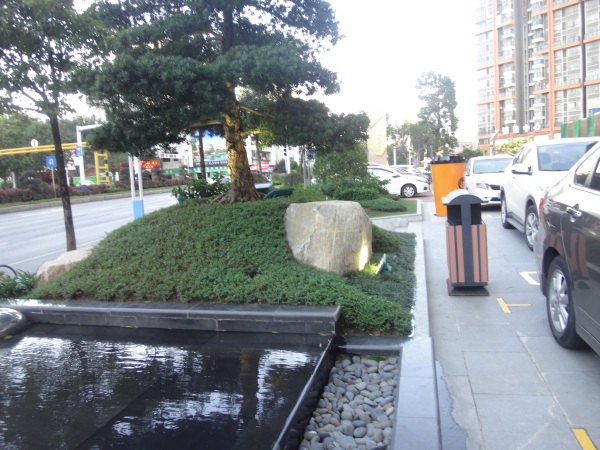 碧桂园奥斯汀_实景图_11