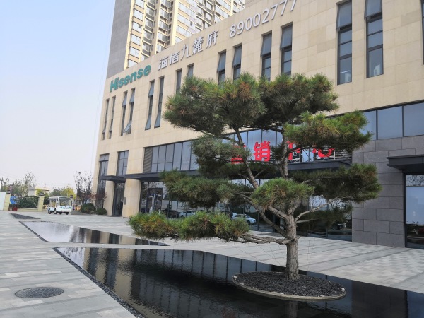 海信九麓府_项目现场_47